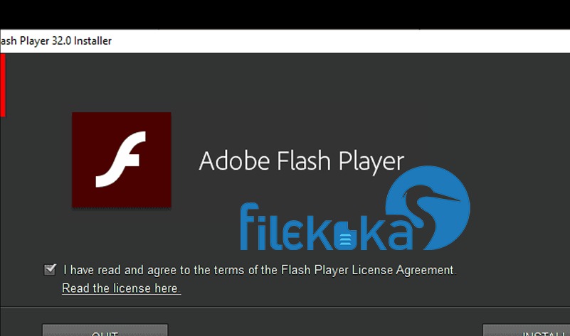 Adobe Flash Player